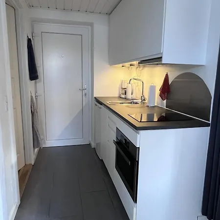 Cozy With Terrace Close To Downtown